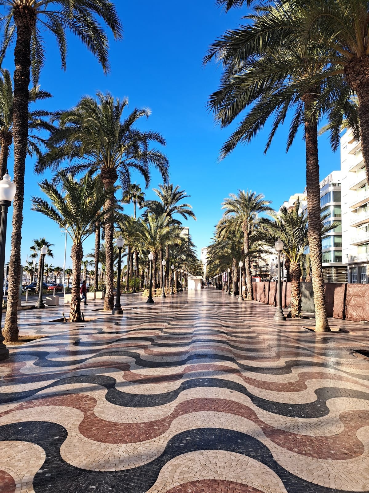 Die Explanada de España in Alicante mit ihrem rot-schwarz-weißen Wellenmosaik aus Marmor, gesäumt von hohen Palmen unter wolkenlosem Himmel