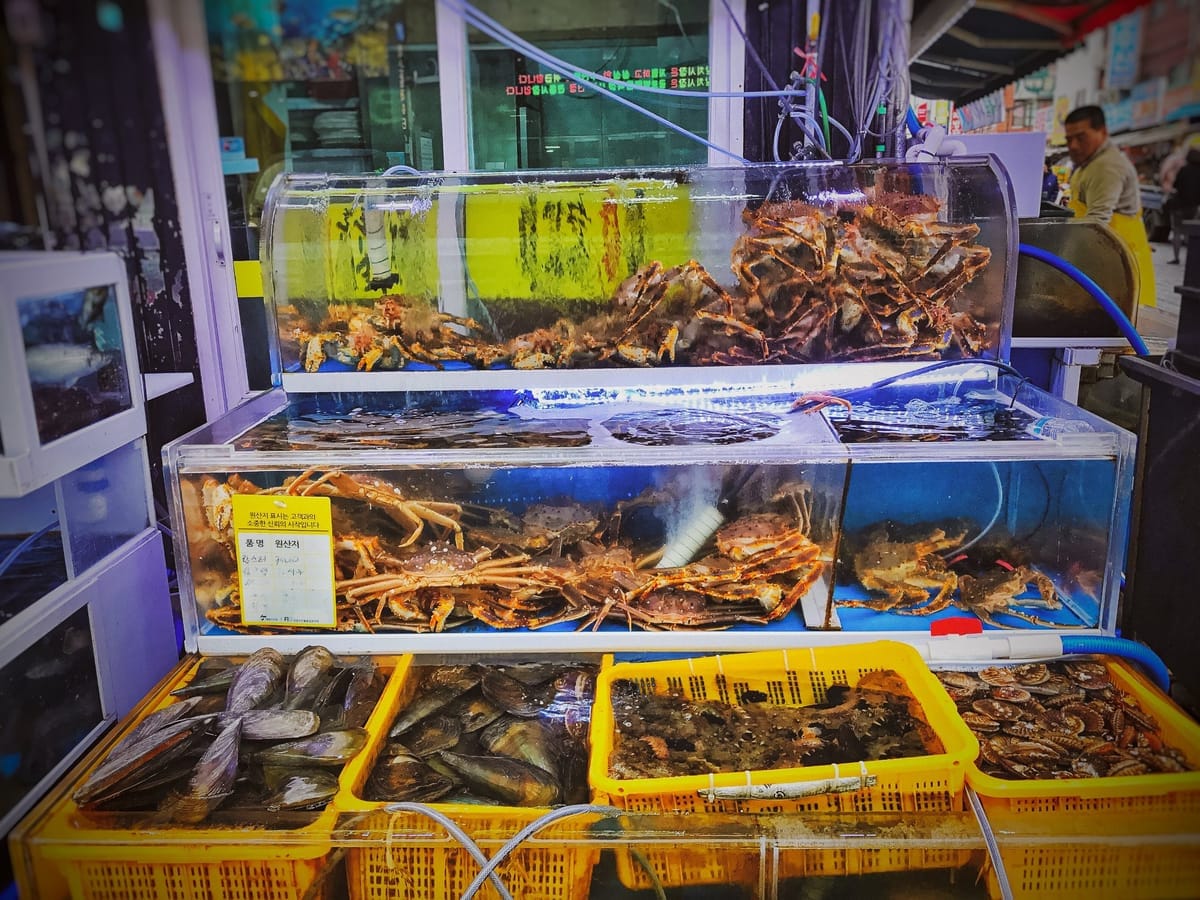 Verkaufsstand auf einem koreanischen Fischmarkt mit Aquarien voller lebender Krabben und Kisten mit Muscheln und Jakobsmuscheln