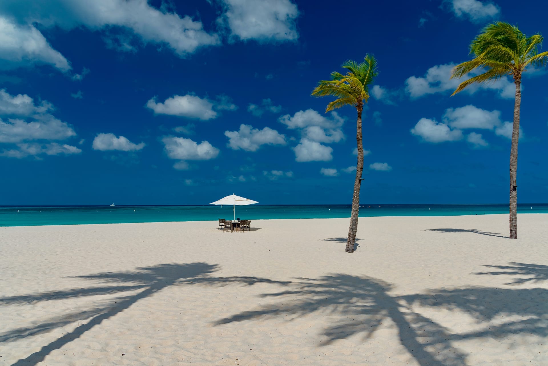 Breiter weißer Sandstrand auf Aruba mit zwei Palmen, deren Schatten über den Sand fallen, einem Sonnenschirm am Wasser und türkisblauem Meer unter blauem Himmel