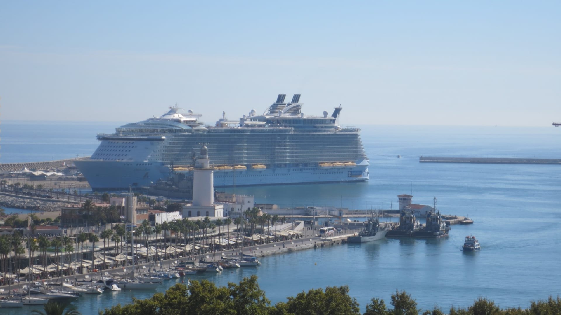 Blick von oben auf den Hafen von Málaga mit der Oasis of the Seas am Kai